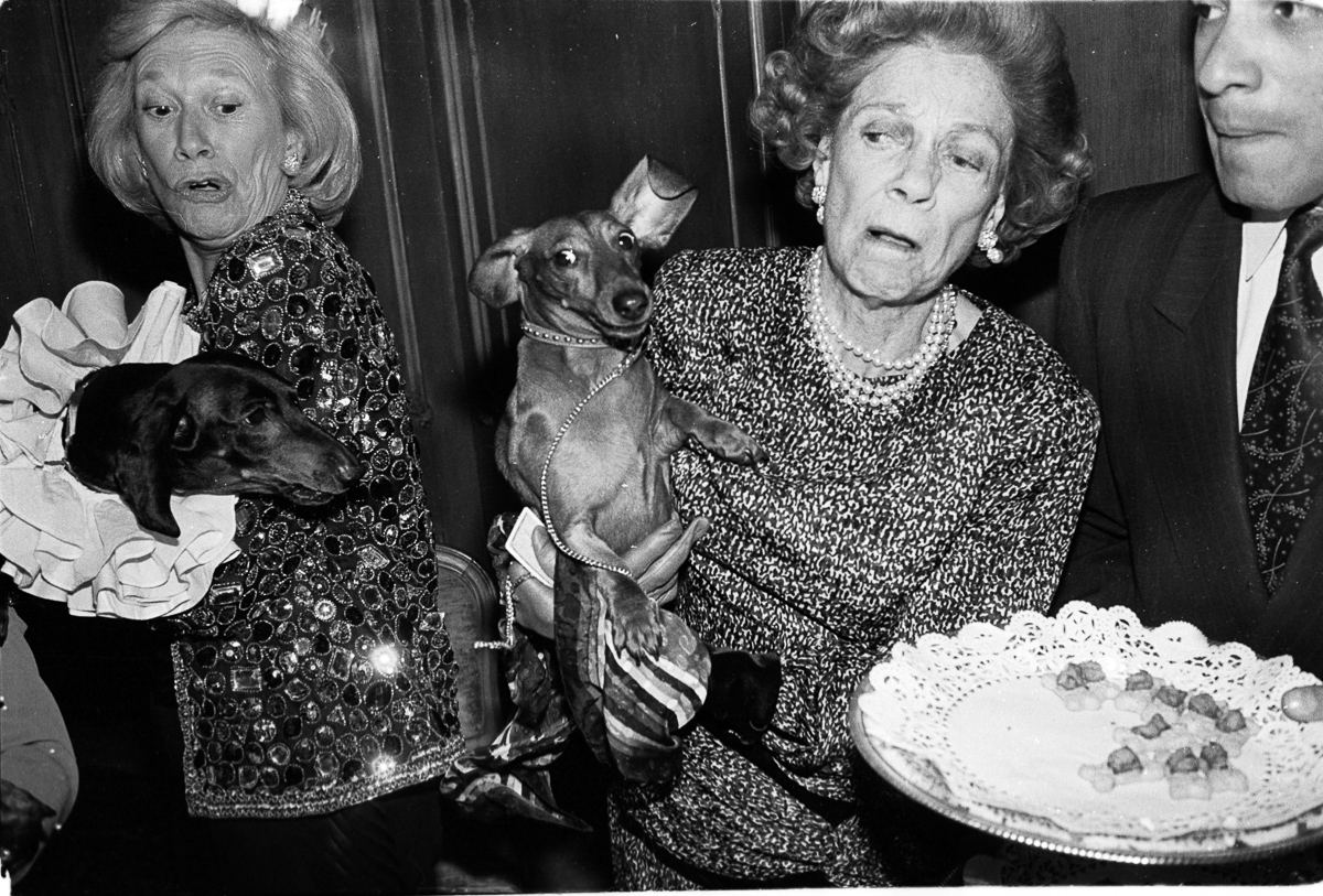 Iris Love and Brooke Astor with Just Desserts and Dolly Astor at a Dachund party. Barbetta. Manhattan. 12 February  1990. . Â© Copyright Photograph by Dafydd Jones 66 Stockwell Park Rd. London SW9 0DA Tel 020 7733 0108 www.dafjones.com